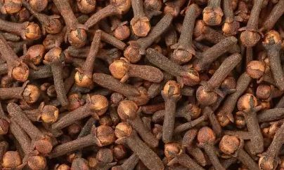 Cloves