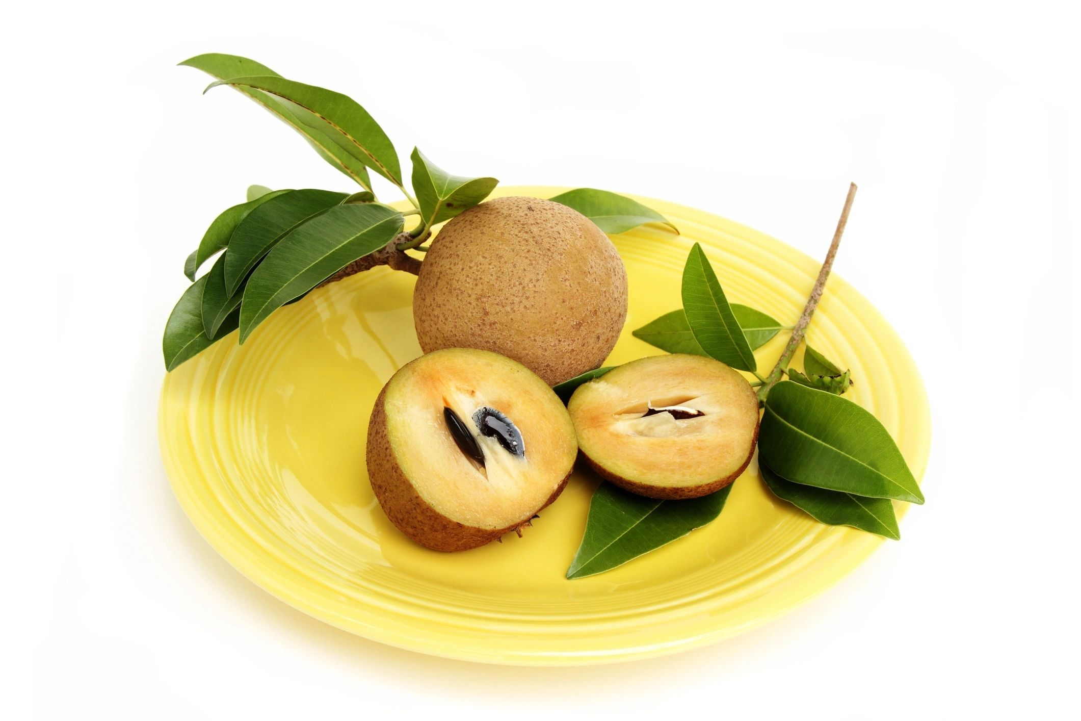 Sapodilla /Sapota/ Chikoo
